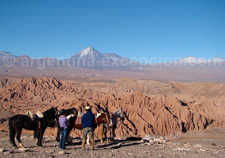 Vallée de Katarpe, Atacama Vallée de Katarpe, Atacama