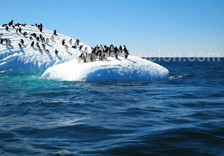 L’incroyable continent blanc visite antarctique