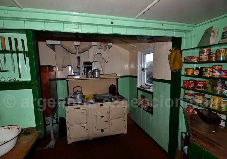 Base argentine Brown Base argentine Brown