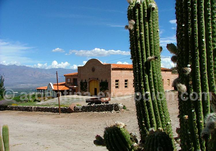 Histoire de Cafayate Histoire de Cafayate
