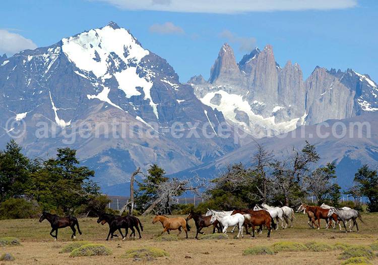 Les tours du Paine Les tours du Paine