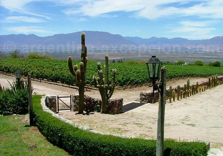 San Pedro de Yacochuya, Cafayate San Pedro de Yacochuya, Cafayate