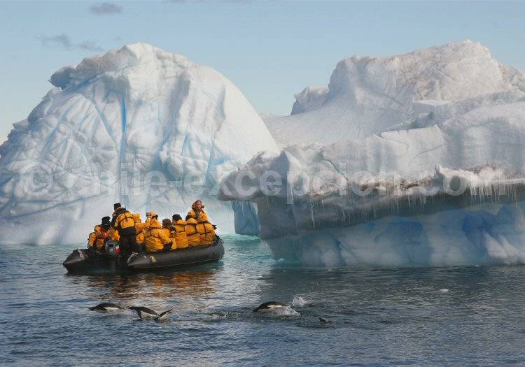 Excursion en zodiac en Antarctique © Keith Gunnar zodiac antarctique