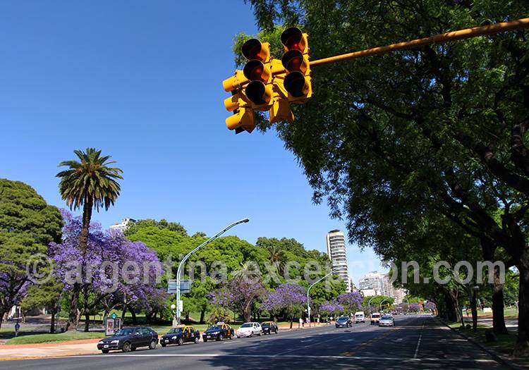 Avenida Libertador, Buenos Aires Avenida Libertador, Buenos Aires