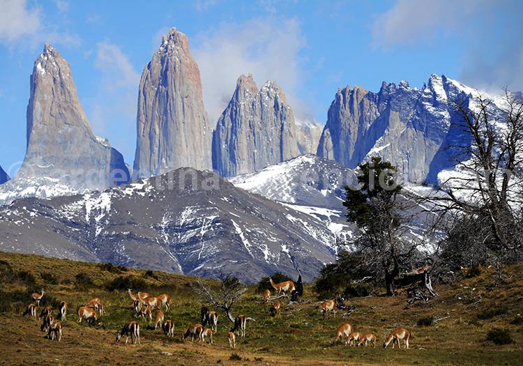 Point de vue sur les tours du Paine, Patagonie Point de vue sur les tours du Paine, Patagonie
