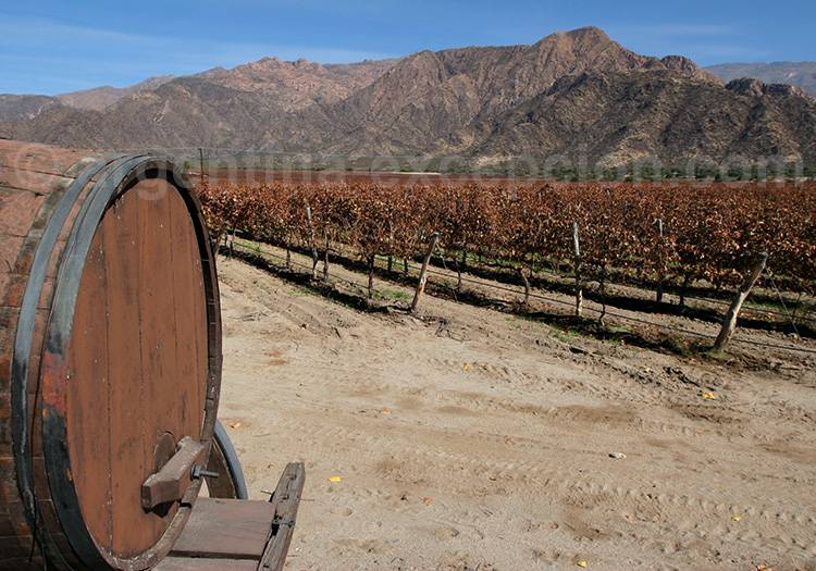 Route des vins, Salta Route des vins, Salta