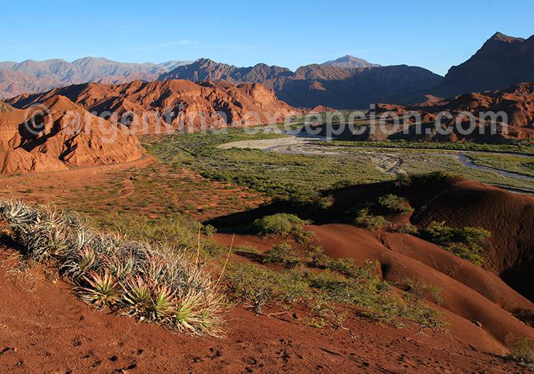 Quebrada de las Conchas, Salta Quebrada de las Conchas, Salta