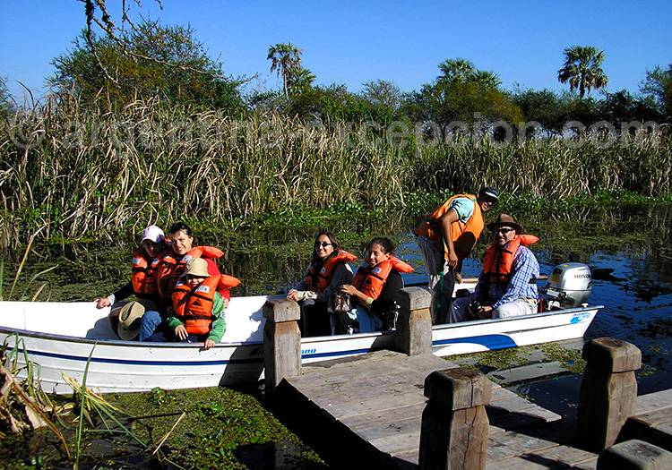 Safari dans les Esteros del Iberá Safari dans les Esteros del Iberá