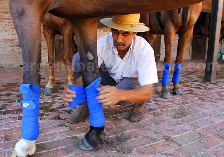 Petisero, estancia de polo Petisero, estancia de polo