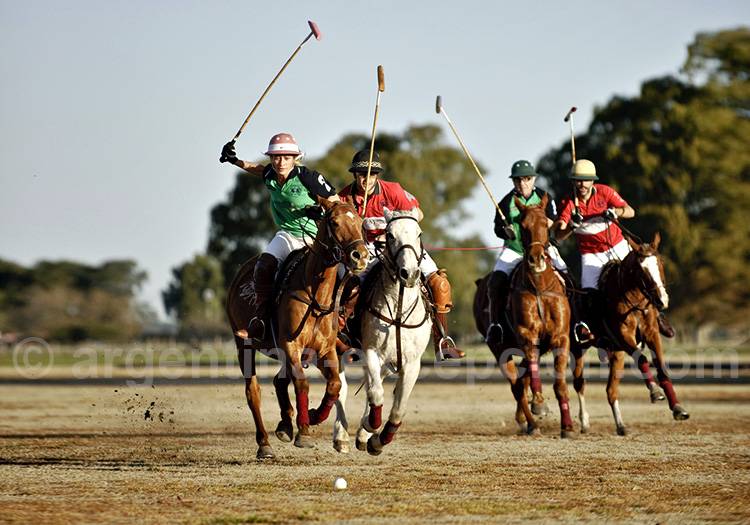 Chukker de polo à La Sofia Chukker de polo à La Sofia