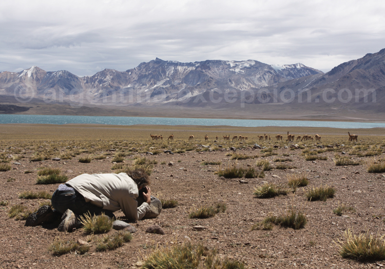Réserve Laguna Diamante Réserve Laguna Diamante