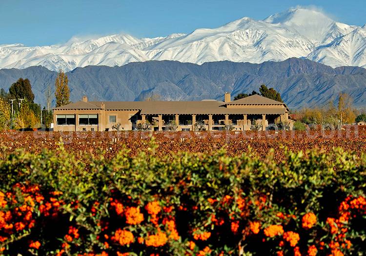 Bodega Vistalba, Luján de Cuyo Bodega Vistalba, Luján de Cuyo