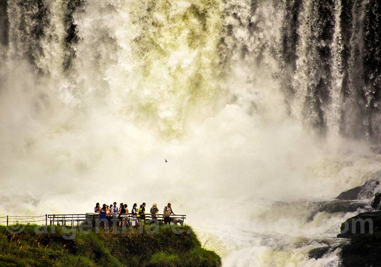 Visite des chutes d'Iguazú, Argentine Visite des chutes d'Iguazú, Argentine