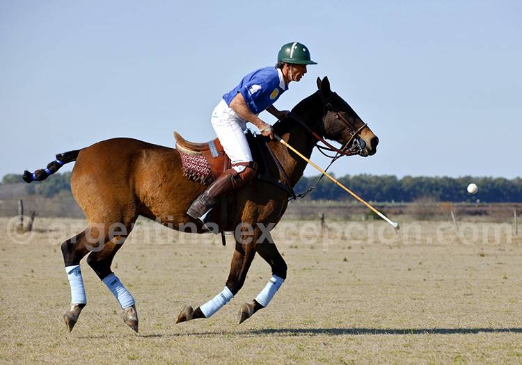 Match de polo à La Sofia Match de polo à La Sofia