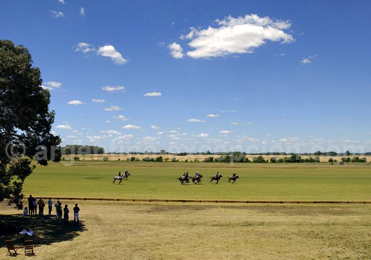 Chucker de polo Chucker de polo