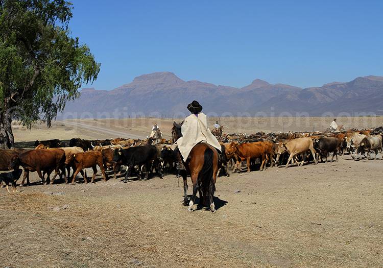 Estancia Pampa Grande, Salta Estancia Pampa Grande, Salta