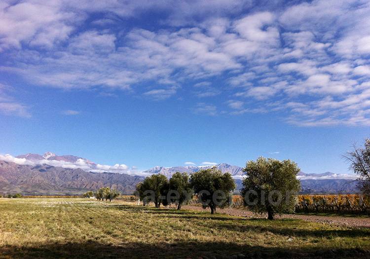 Paysages de Valle de Uco Paysages de Valle de Uco