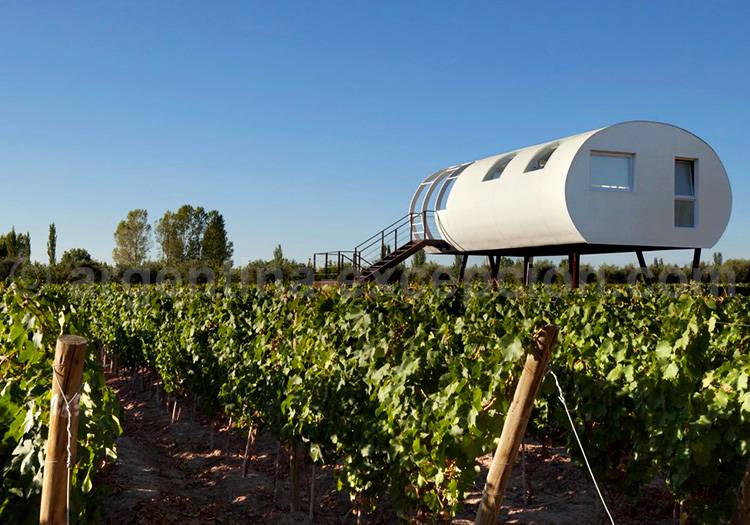 Vignoble Entre Cielos, Mendoza Vignoble Entre Cielos, Mendoza