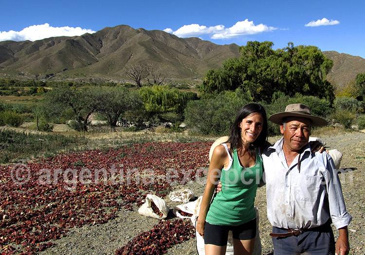 Séchage du piment, Payogasta Séchage du piment, Payogasta