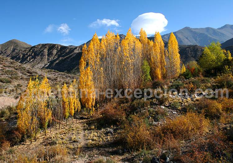 Route La Carrera, Porterillos Route La Carrera, Porterillos