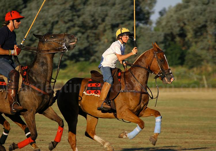 Entrainement de polo Entrainement de polo