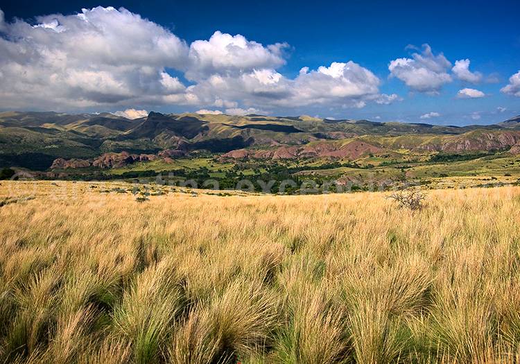Parc Ongamira, estancia Dos Lunas Parc Ongamira, estancia Dos Lunas