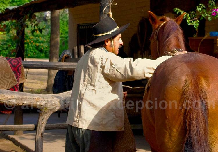 Estancia Bordo de las Lanzas Estancia Bordo de las Lanzas