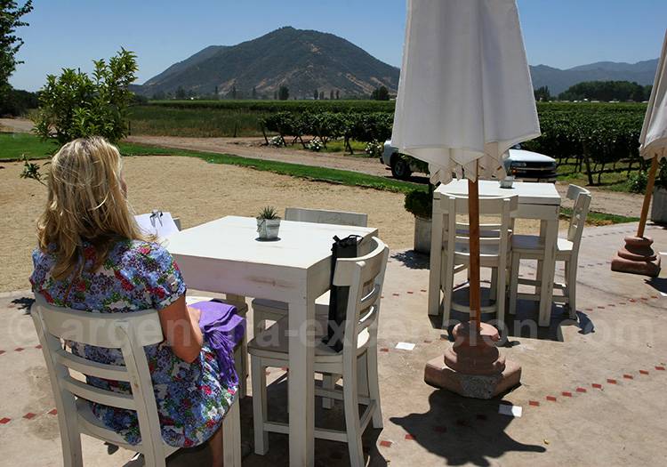 Vallée de Colchagua, Chili Vallée de Colchagua, Chili