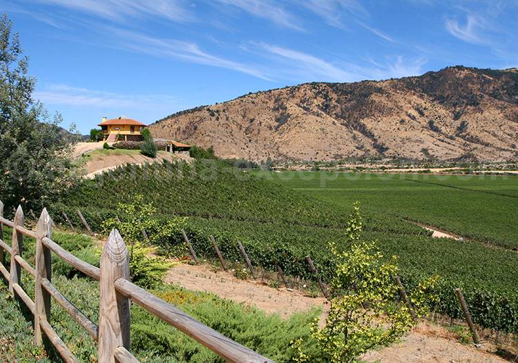 Viña Santa Cruz, Chili Viña Santa Cruz, Chili