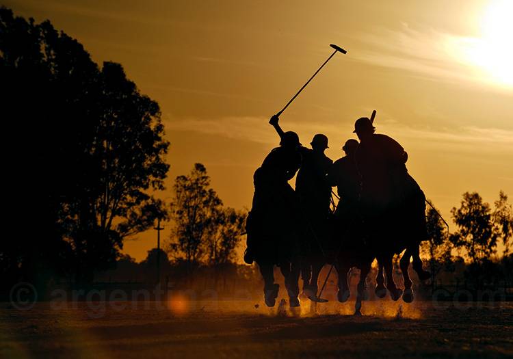 Chucker de polo en Patagonie Chucker de polo en Patagonie