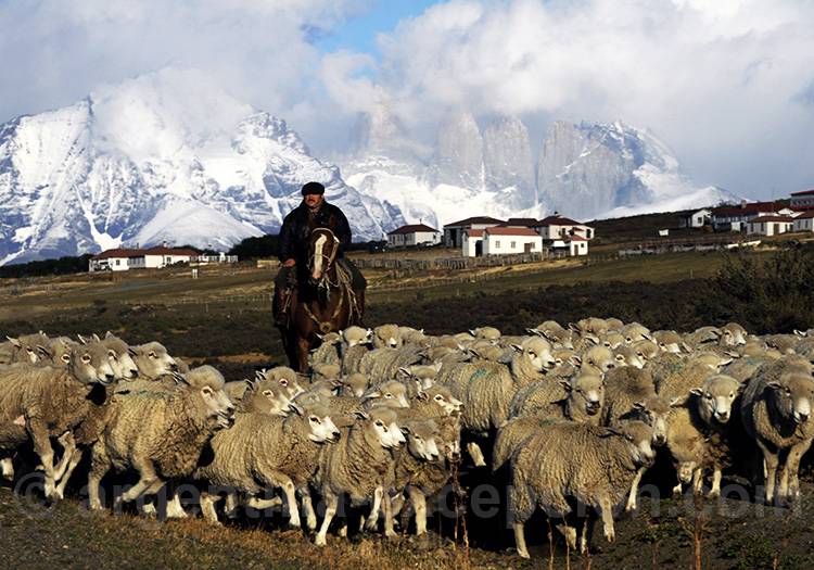 Estancia Cerro Guido Estancia Cerro Guido