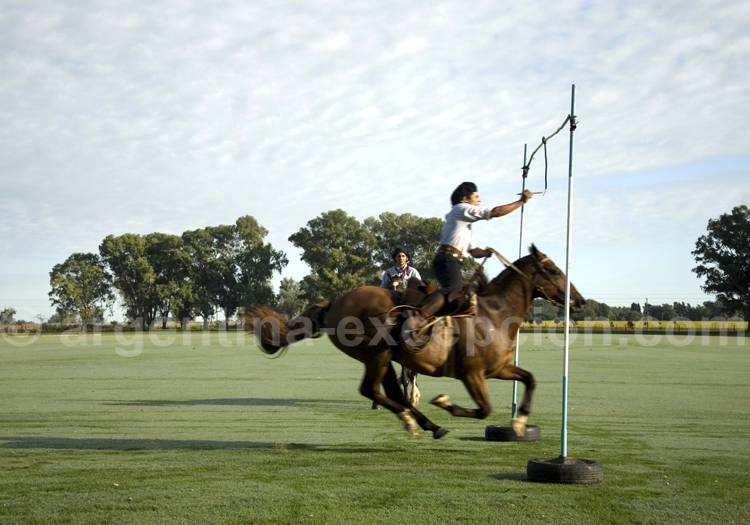 Sortija, estancia la Bamba de Areco Sortija, estancia la Bamba de Areco