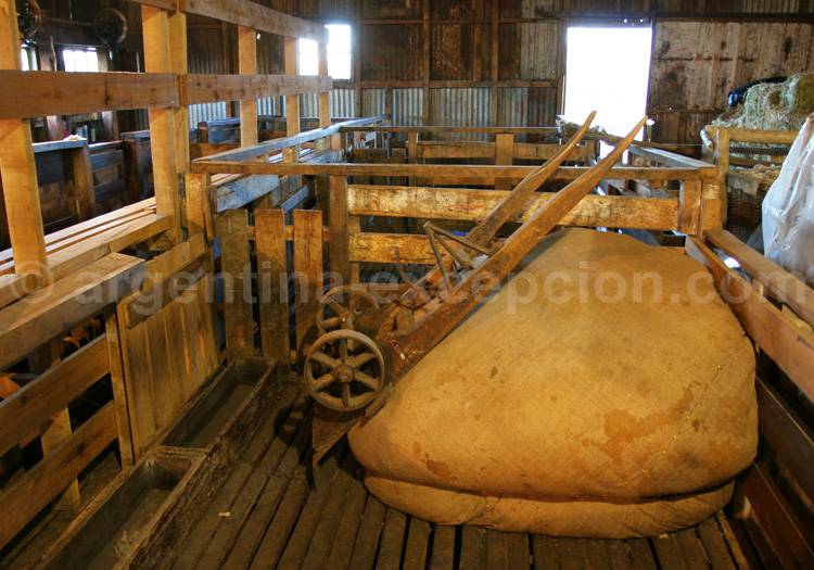 Ballots de laine, Patagonie Ballots de laine, Patagonie