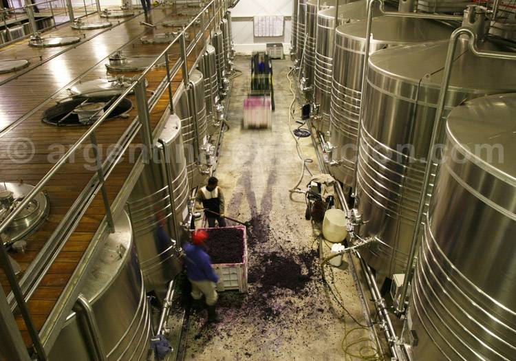 Mendoza climat idéal pour le vin, cave Catena Zapata Mendoza climat idéal pour le vin, cave Catena Zapata