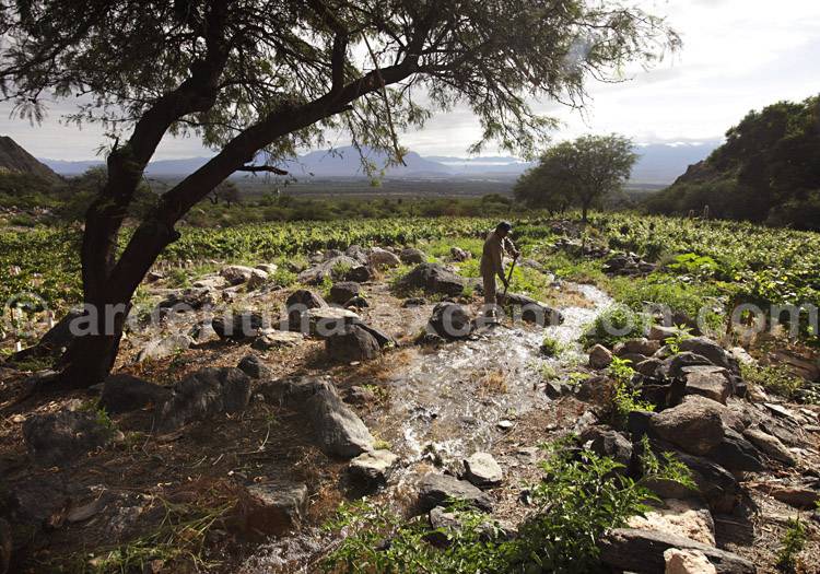 Histoire du vin argentin, cave El Porvenir Histoire du vin argentin