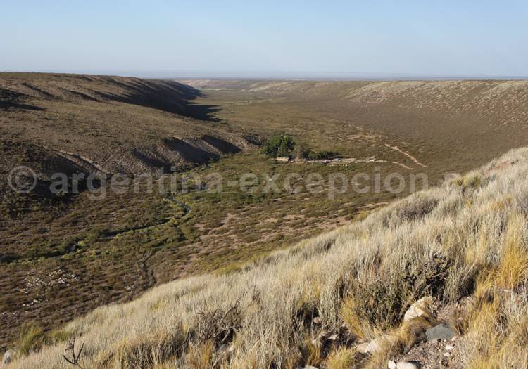 Puesto Cerro Negro, ruisseau Yaucha Puesto Cerro Negro, ruisseau Yaucha