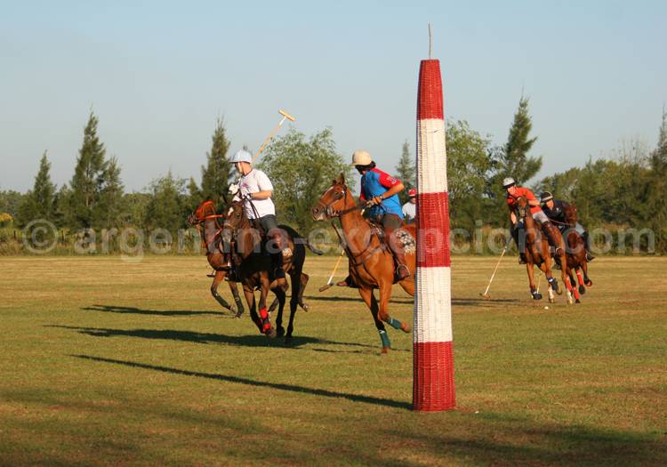 Chacra de polo Chacra de polo