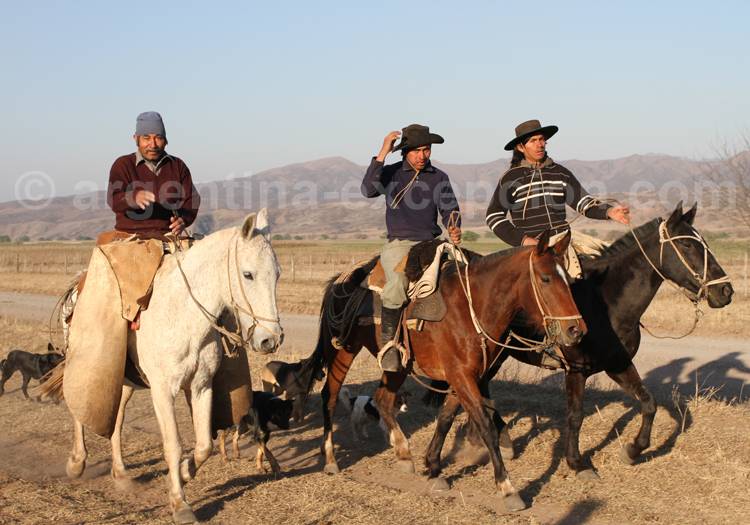 Gauchos, estancia Pampa Grande Gauchos, estancia Pampa Grande