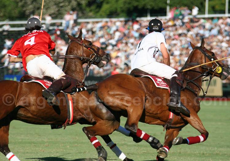 Compétition de polo à Buenos Aires Compétition de polo à Buenos Aires