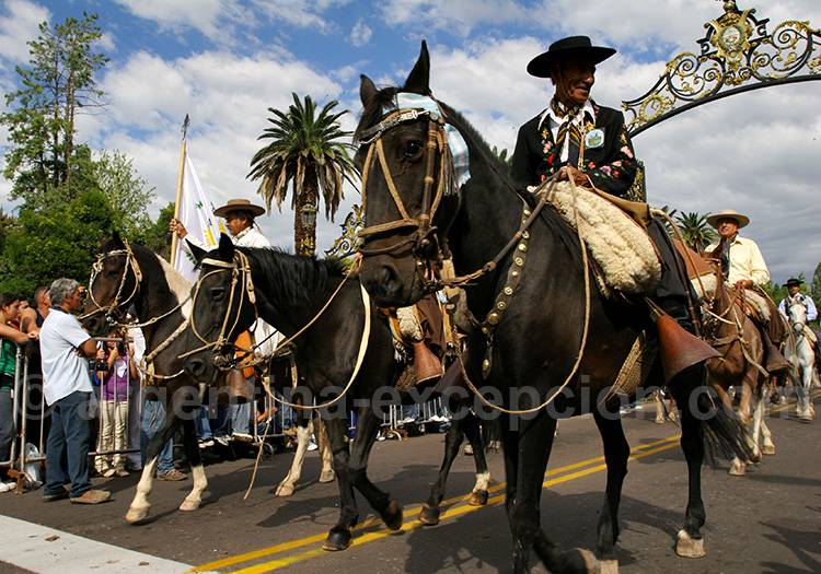 Défilé, fête des vendanges Défilé, fête des vendanges
