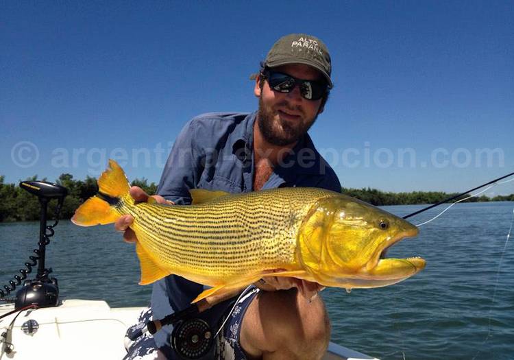 Dorado, Corrientes Dorado, Corrientes