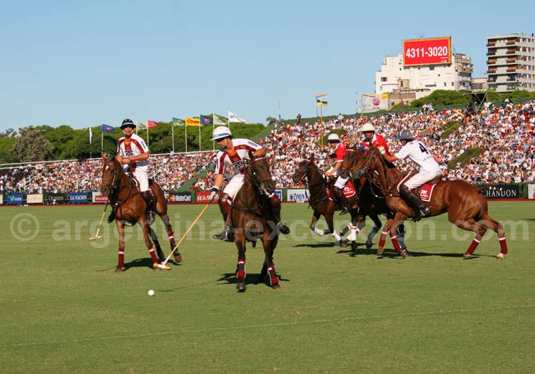 Open de Palermo, Buenos Aires Open de Palermo, Buenos Aires