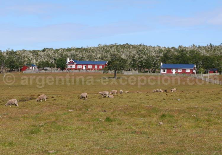 Estancia en Terre de Feu, Patagonie Estancia en Terre de Feu, Patagonie