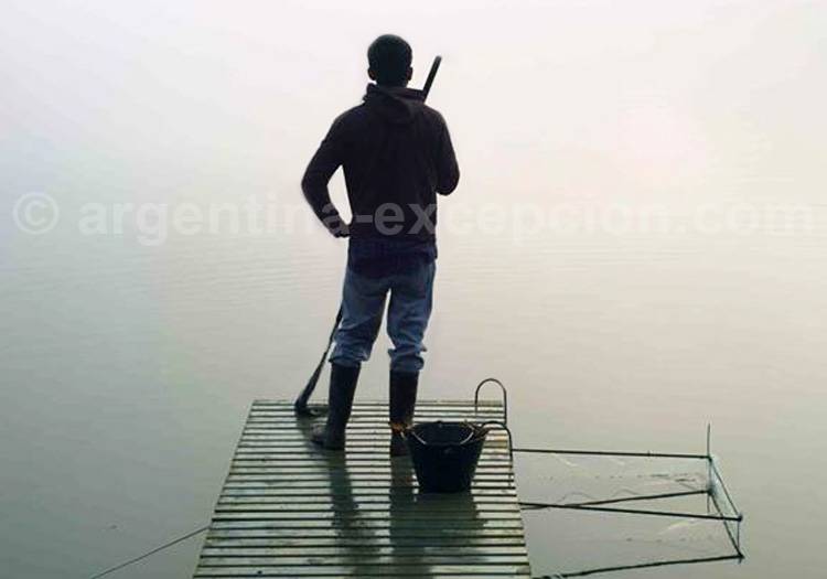 Film l'Été des poissons volants Film l'Été des poissons volants