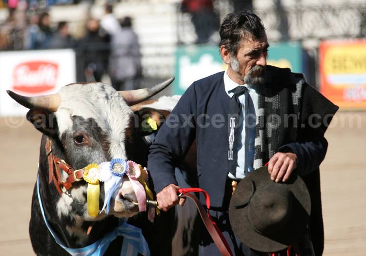 Exposition bovine La Rural, Palermo Exposition bovine La Rural, Palermo
