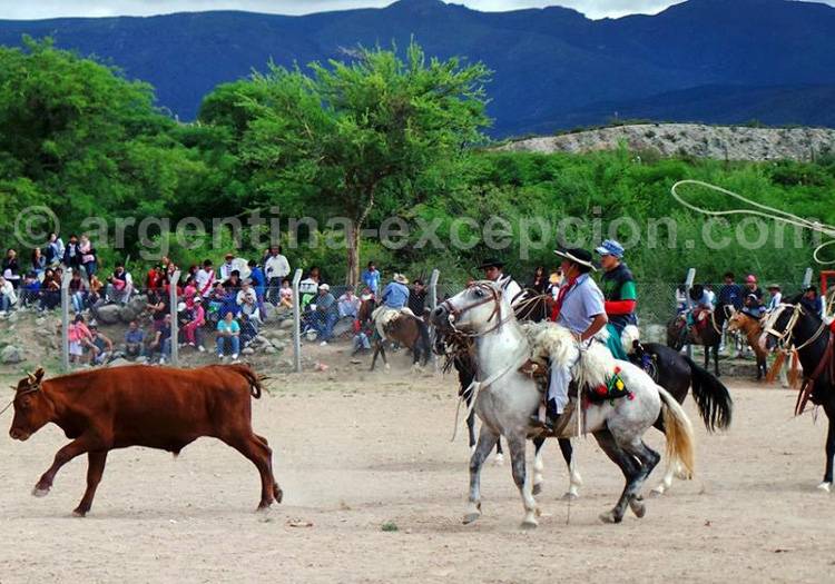 Lasso, Feria de la Pachamama - © Facebook Amaicha del Valle Lasso, Feria de la Pachamama - © Facebook Amaicha del Valle