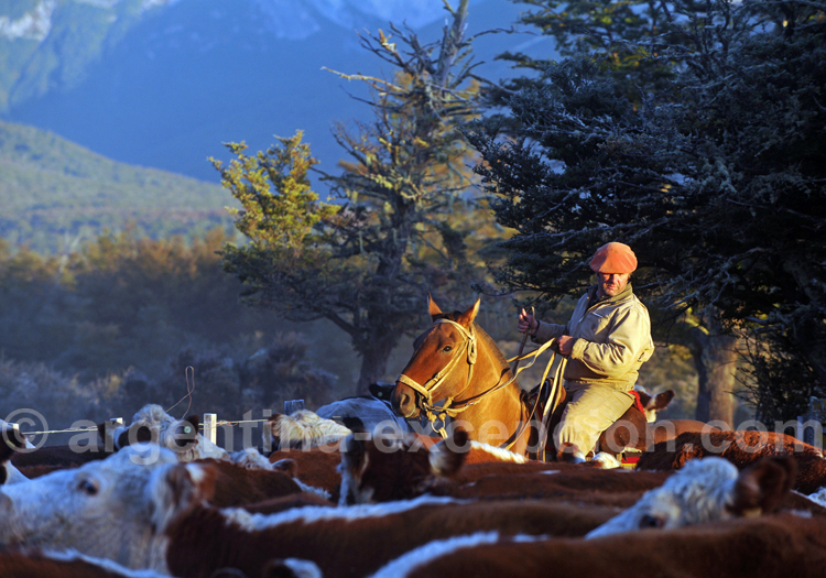 Gaucho, estancia Tres Valles Gaucho, estancia Tres Valles