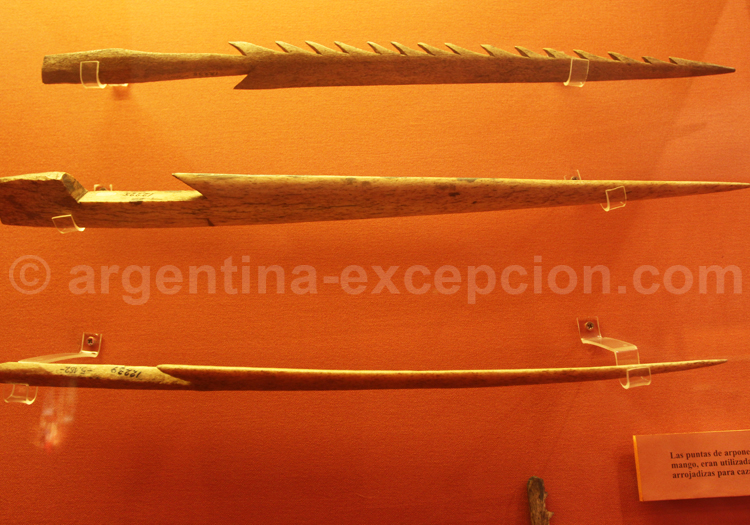 Pointes de harpons pour la chasse au lion de mer, Terre de Feu Pointes de harpons pour la chasse au lion de mer, Terre de Feu