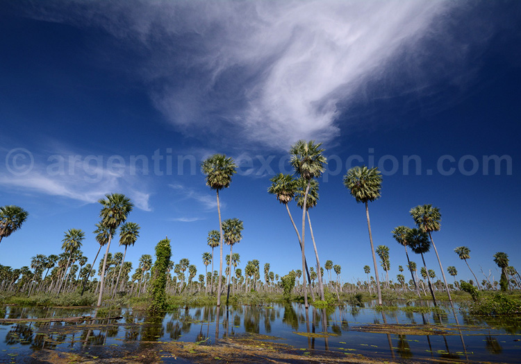Humedales Chaco, Bañado La Estrella, zone Ramsar Humedales Chaco, Bañado La Estrella, zone Ramsar