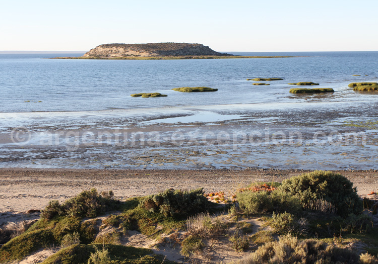 L'île aux oiseaux, péninsule Valdès, Patagonie L'île aux oiseaux, péninsule Valdès, Patagonie